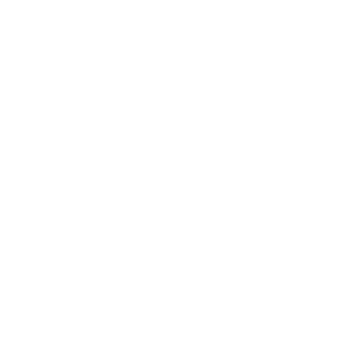 kunde_faceforce